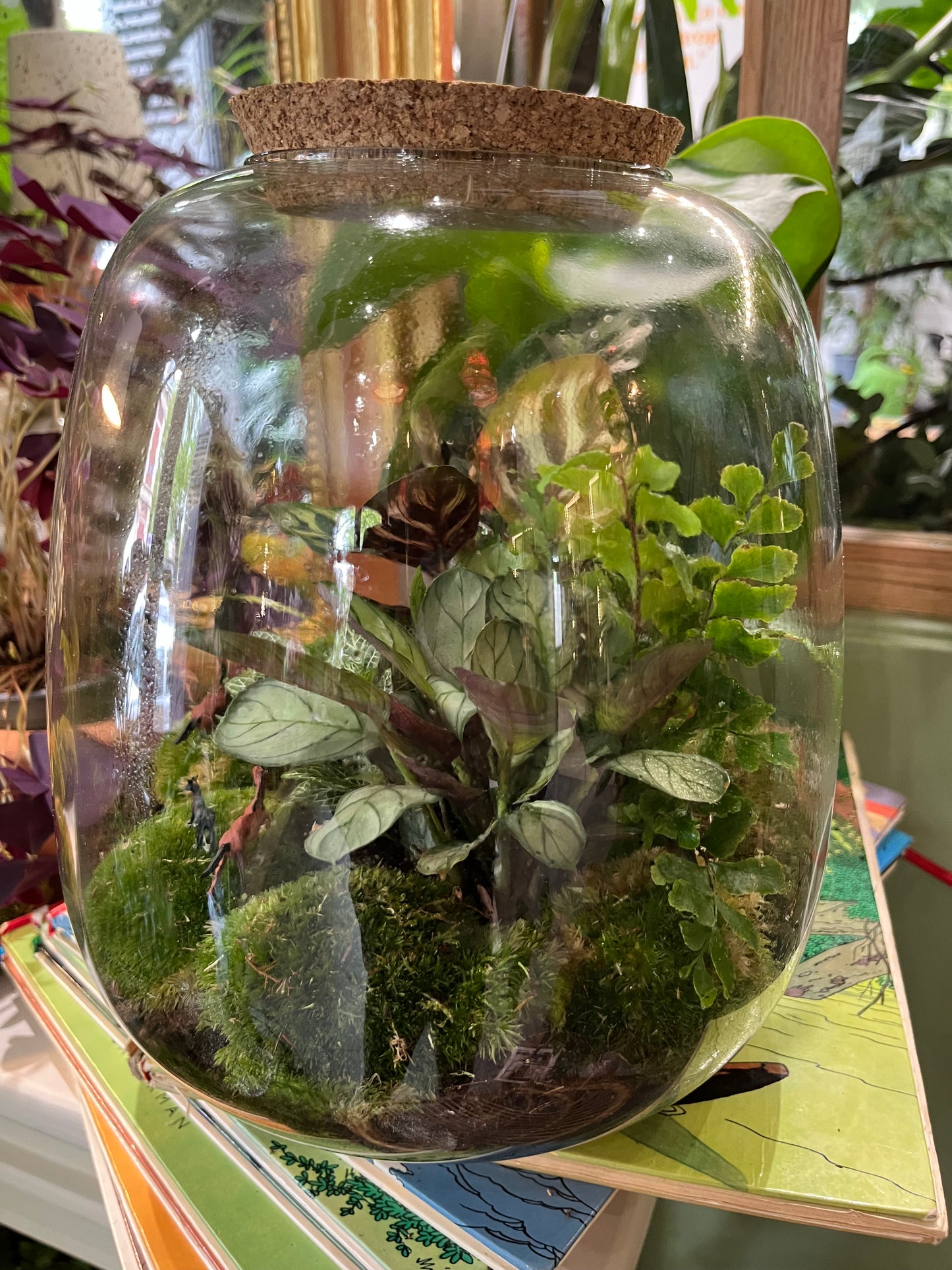 "Jungle normande" Terrarium Verdoyant Moyen avec de nombreuses plantes verte et mousse réalisé par Rouge Pivoine Caen