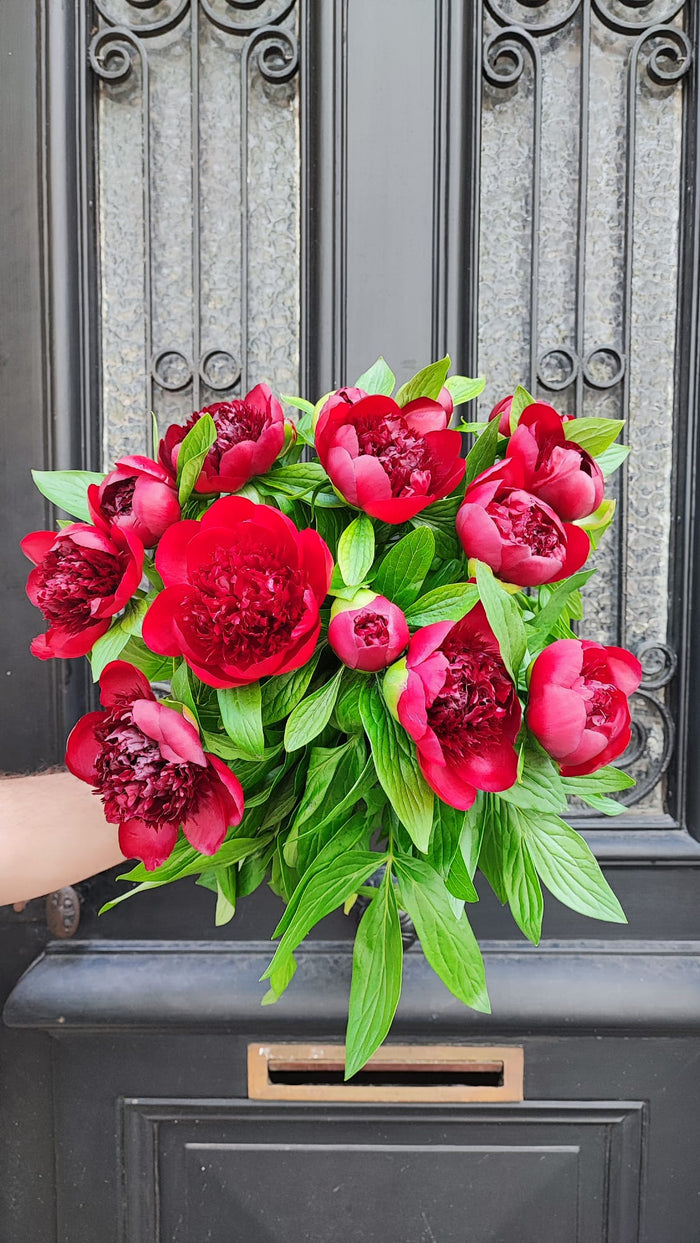 Bouquet de Pivoines Rouges