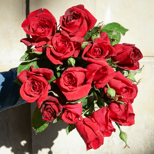 Combien coûte un bouquet de roses ?