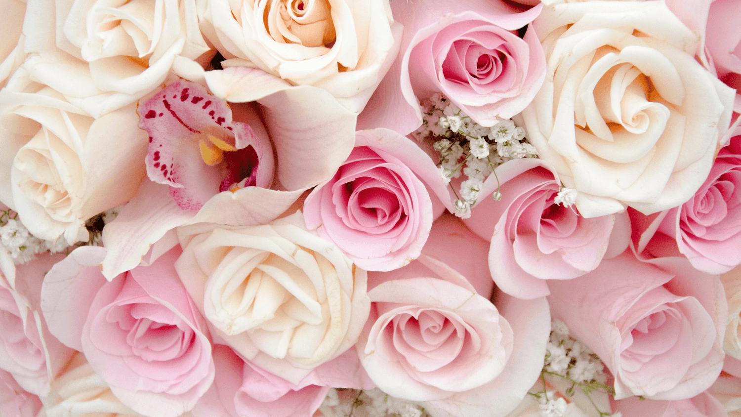 Nos Best-Sellers - Rouge pivoine Fleuriste Caen