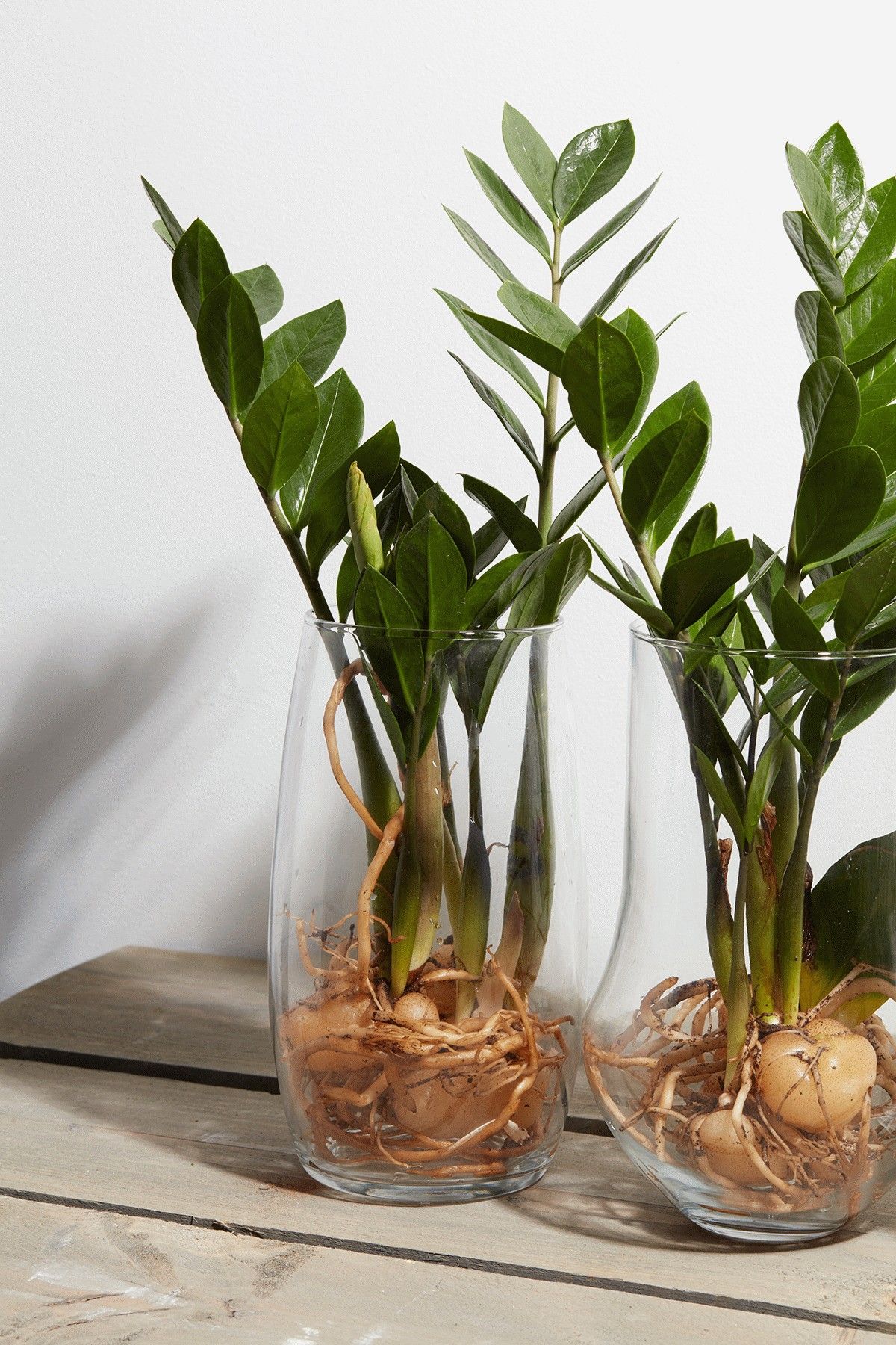 Vase Marian Essentials — mise en situation