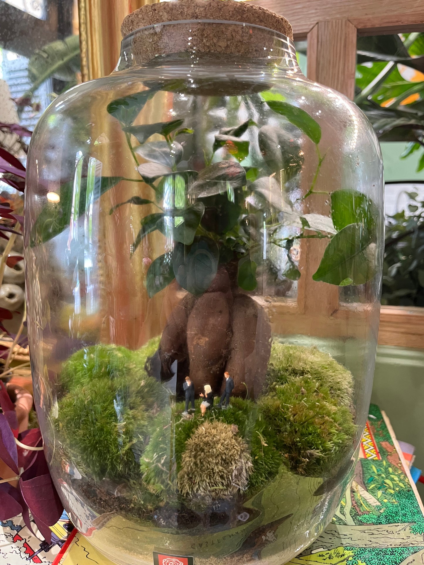 "Fôret-Capsule" Terrarium Bonsaï Verdoyant Large par Rouge pivoine fleuriste caen disponible sur RougePivoine.co 