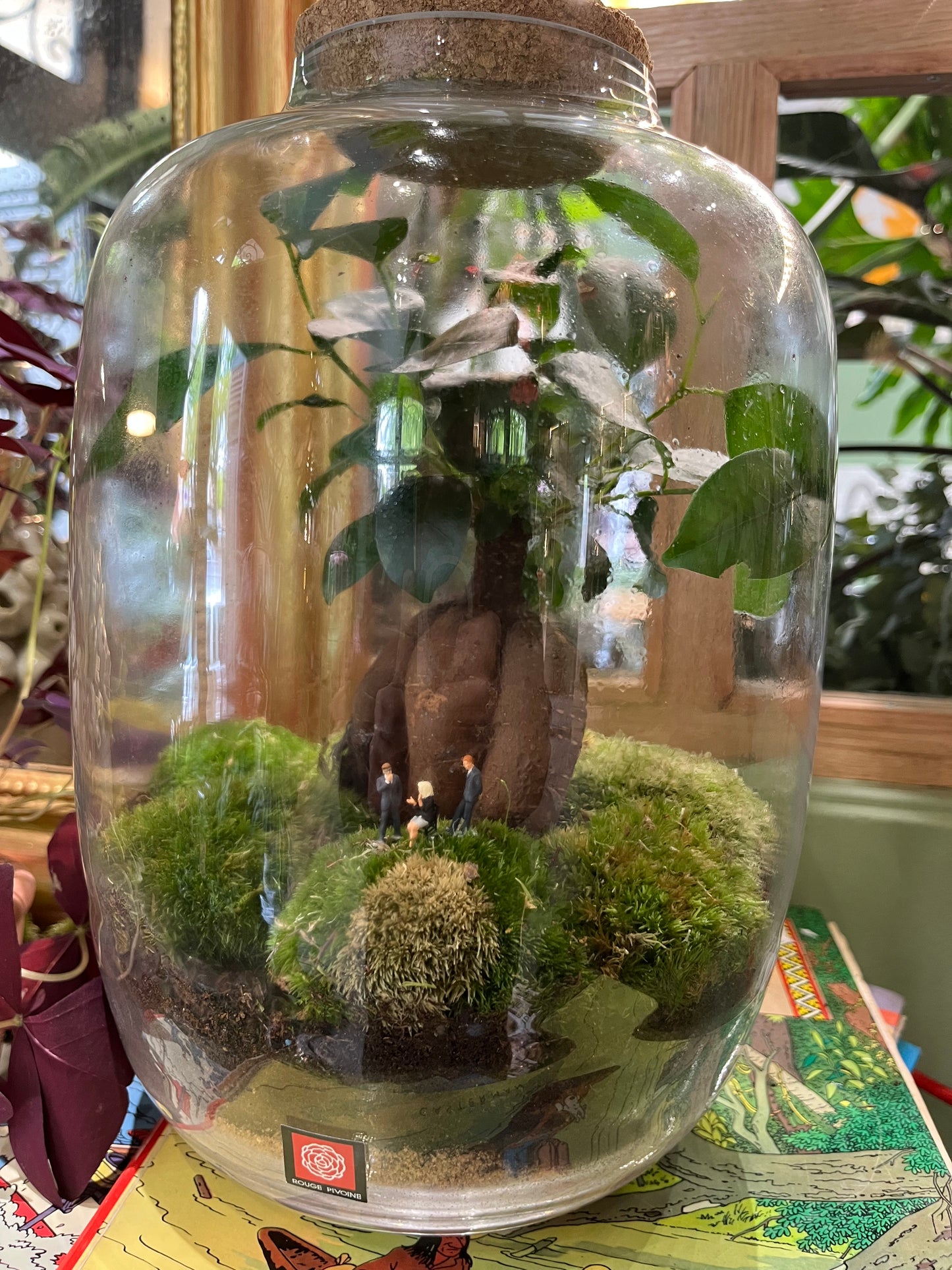 "Fôret-Capsule" Terrarium Bonsaï Verdoyant Large - RougePivoine.co