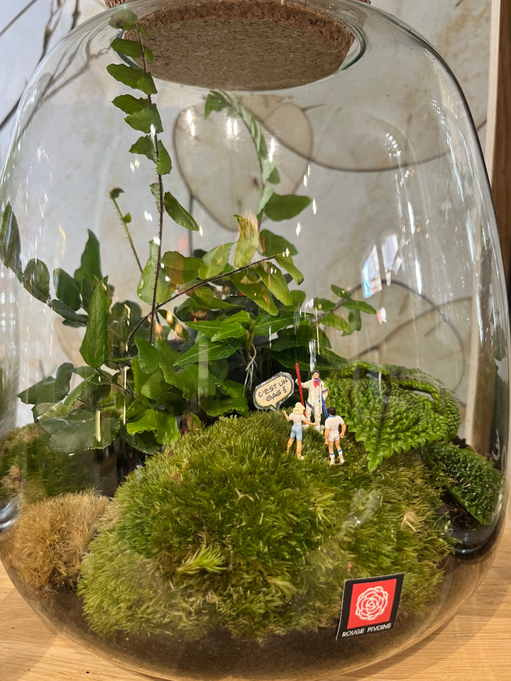 "Fôret-Enchantée" Terrarium Verdoyant Large avec Bouchon en Liège de chez Rouge Pivoine Fleuriste Caen