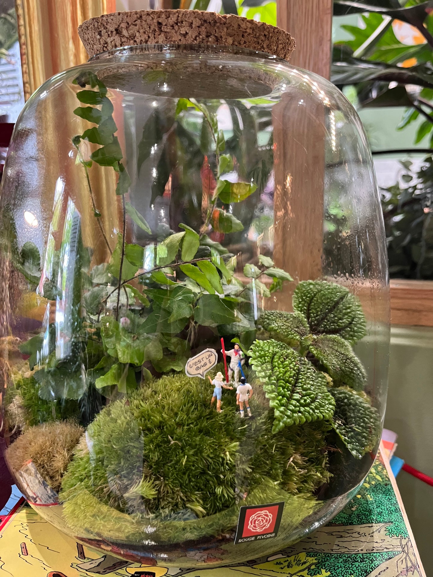 "Forêt Enchantée" Terrarium Verdoyant Large avec Bouchon de Liège par Rouge Pivoine Fleuriste Caen