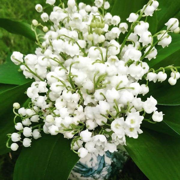 Bouquet de Muguet