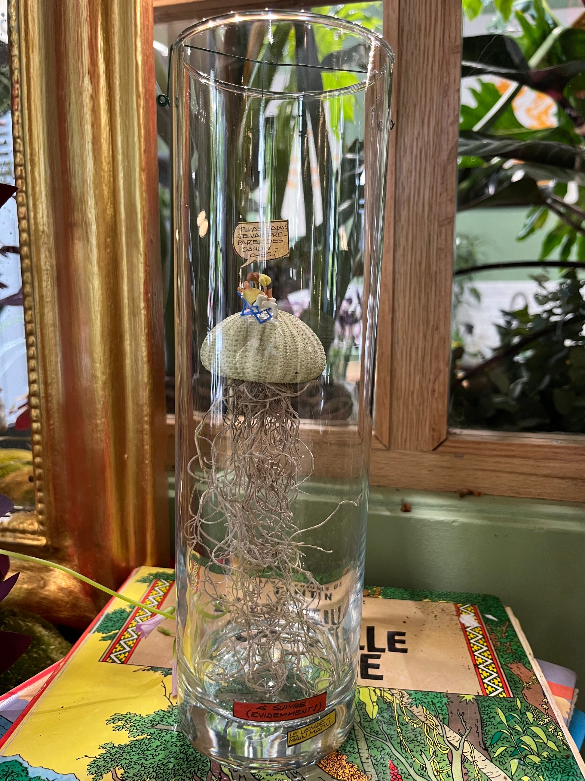 Terrarium sec ouvert en vue large avec petit personnage par rouge pivoine fleuriste caen