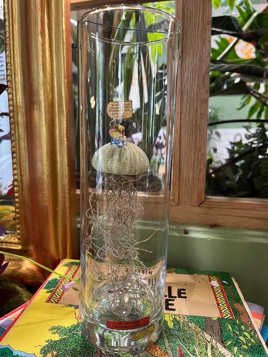 Terrarium sec ouvert en vue large avec petit personnage par rouge pivoine fleuriste caen