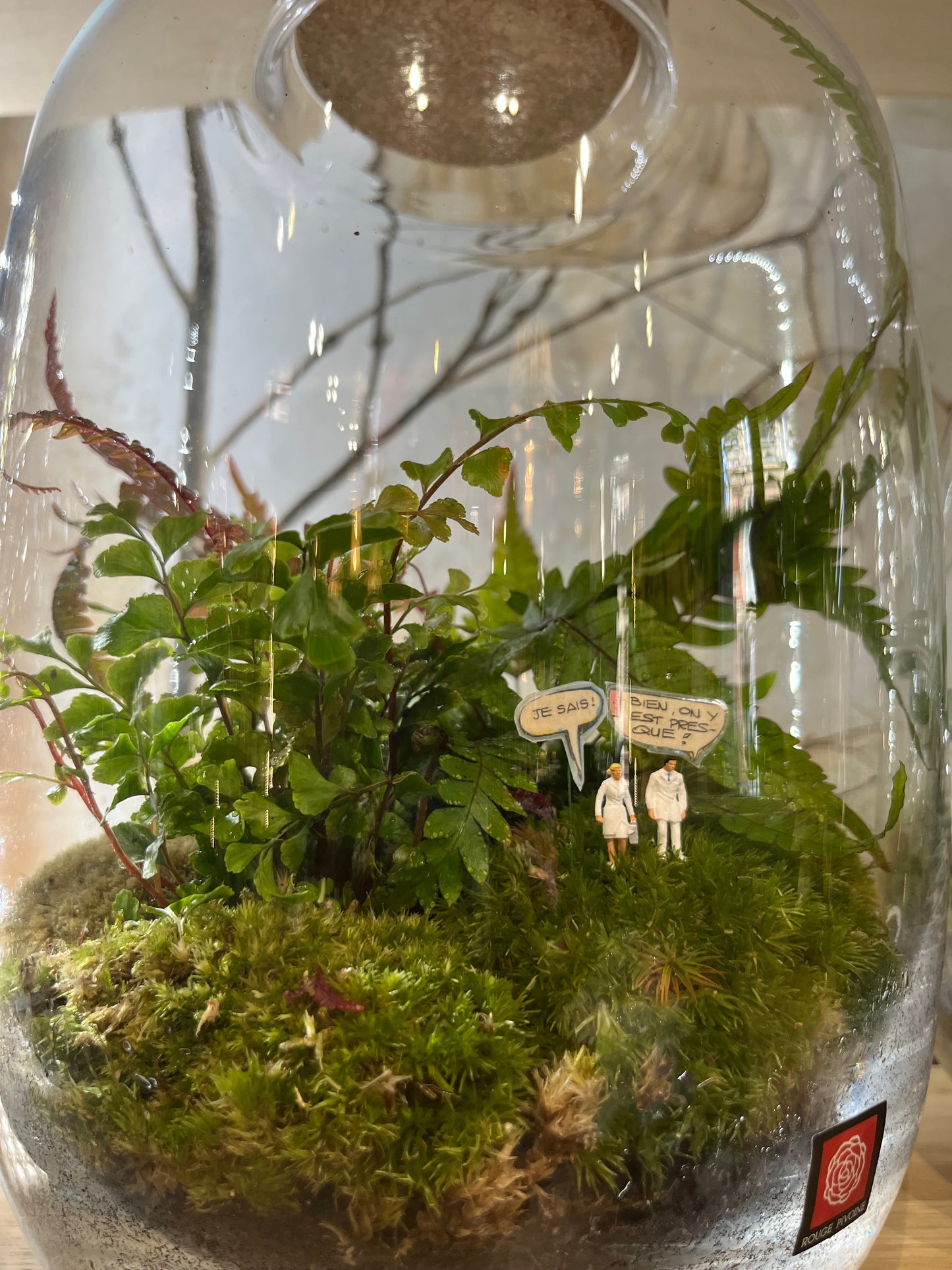 « Suisse Normande » Terrarium Verdoyant Large de Rouge Pivoine 