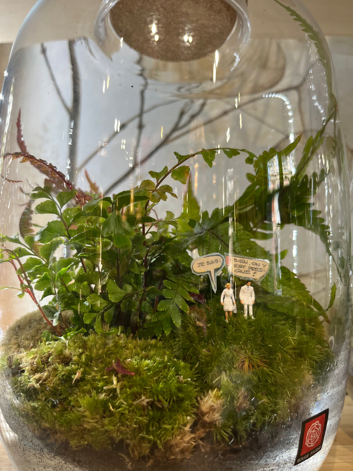 « Suisse Normande » Terrarium Verdoyant Large de Rouge Pivoine 