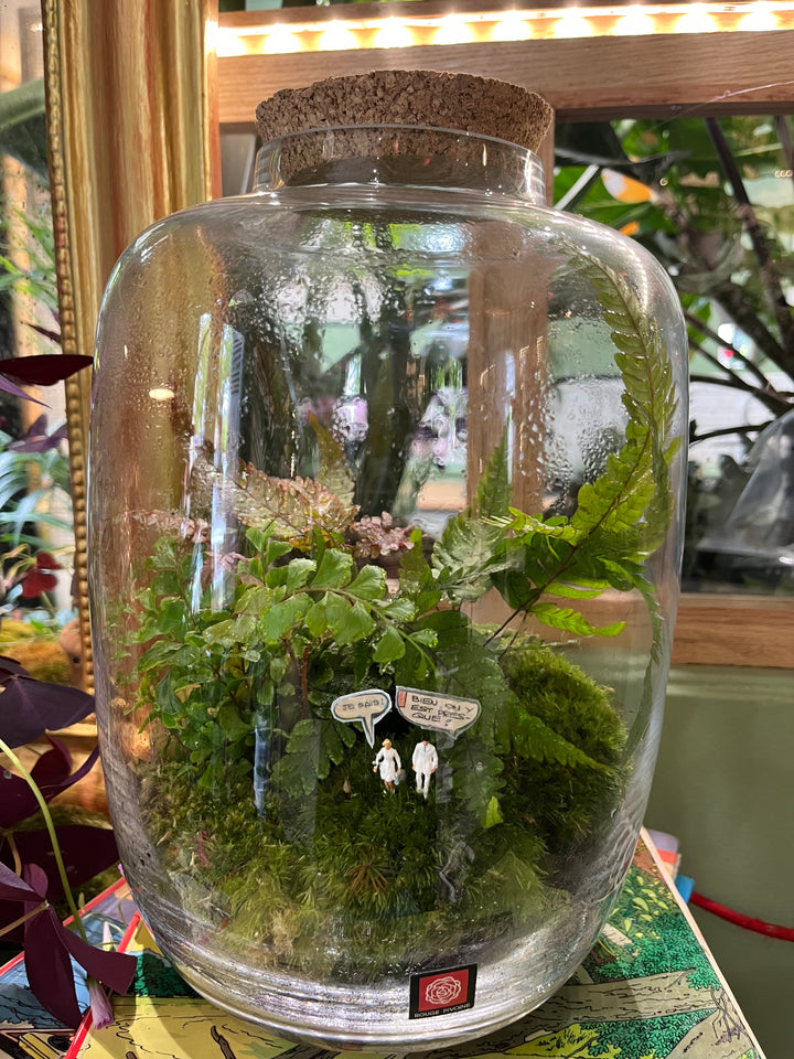 "Suisse Normande" Terrarium Verdoyant Large de Rouge Pivoine, Fleuriste à Céans 