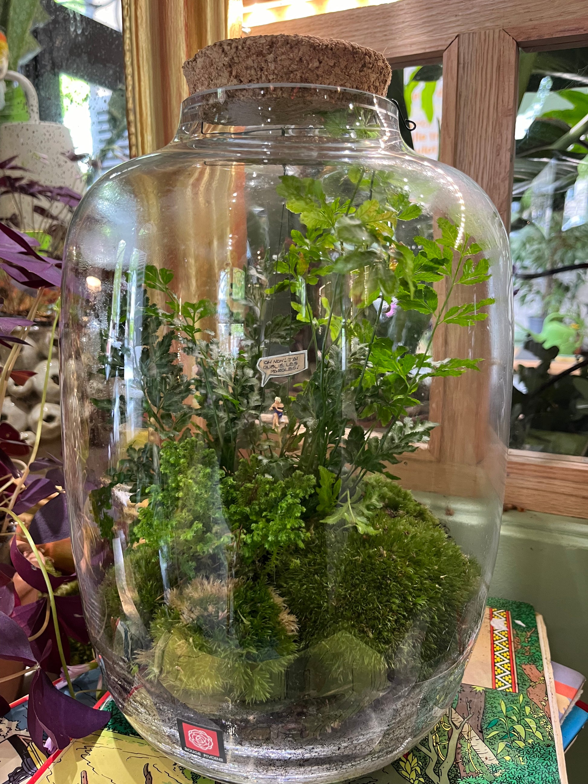 "Suisse Normande" Terrarium Verdoyant Large par Rouge Pivoine, Fleuriste à Caen