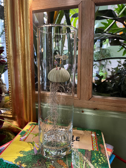 Terrarium sec création unique par Rouge Pivoine Fleursite Caen