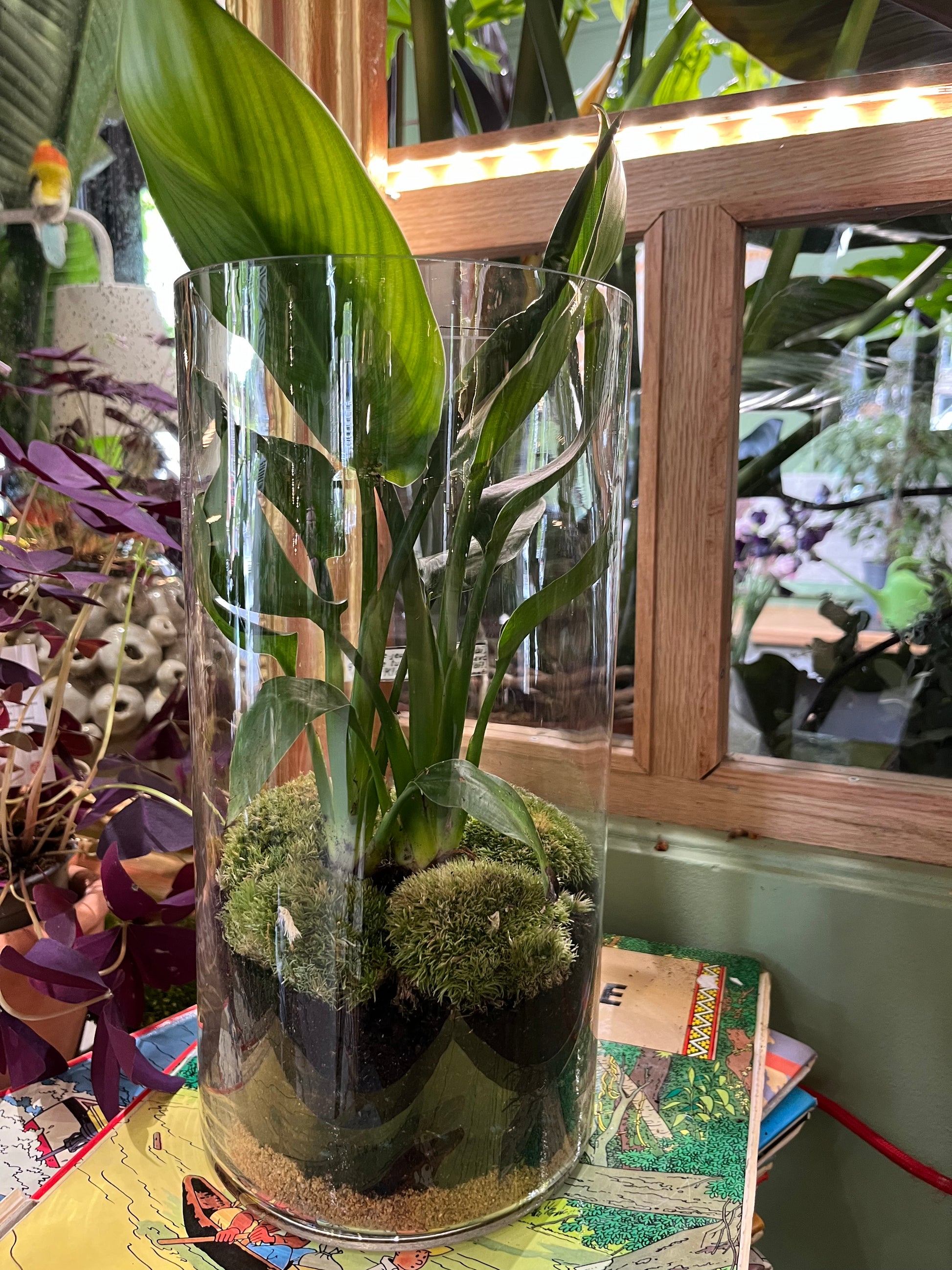 Format portrait Terrarium Spathiphyllum et mousse vue arriere par Rouge Pivoine Fleuriste Caen
