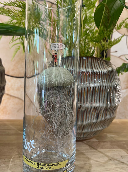 Terrarium sec v4 en prise photo portrait de chez Rouge Pivoine Fleuriste Caen