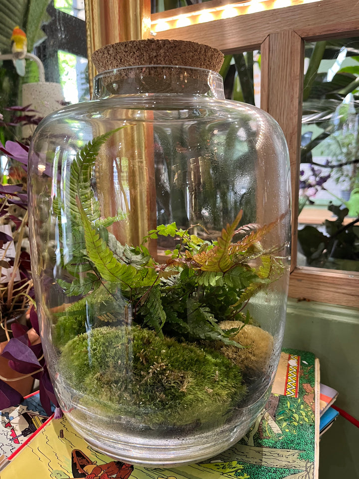"Suisse Normande" Terrarium Verdoyant Large de Rouge Pivoine 