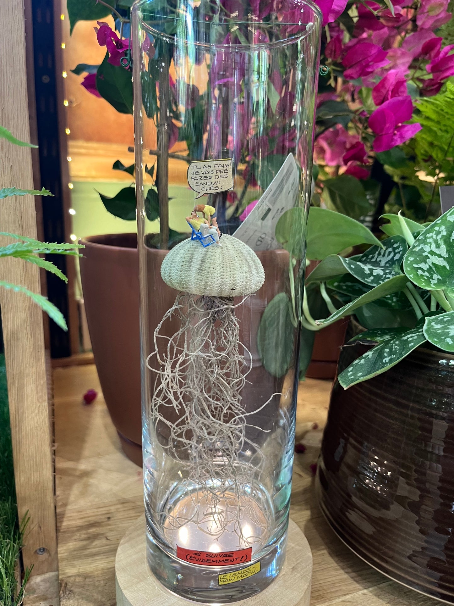 Vue pleine format portrait d'une autre version du terrarium sec Medusa par Rouge pivoine Fleuriste Caen