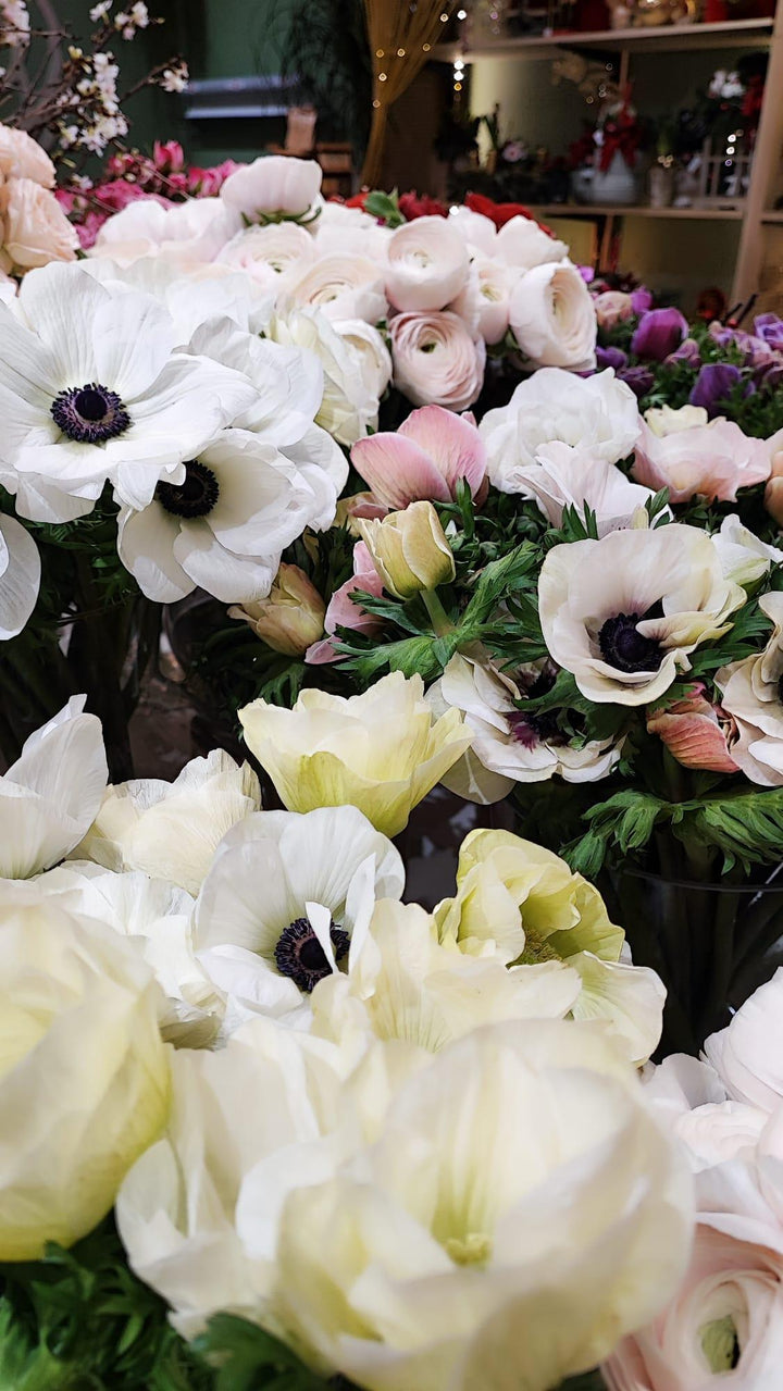 Bouquets d'anémones - Rouge pivoine Fleuriste Caen