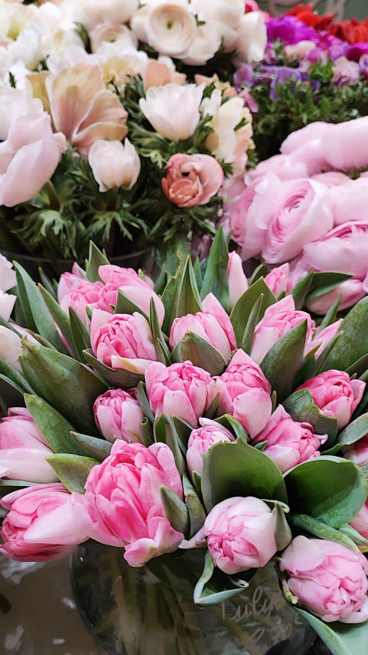 Bouquets de tulipes - Rouge pivoine Fleuriste Caen