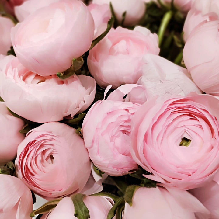 Bouquets de Renoncules - Rouge pivoine Fleuriste Caen