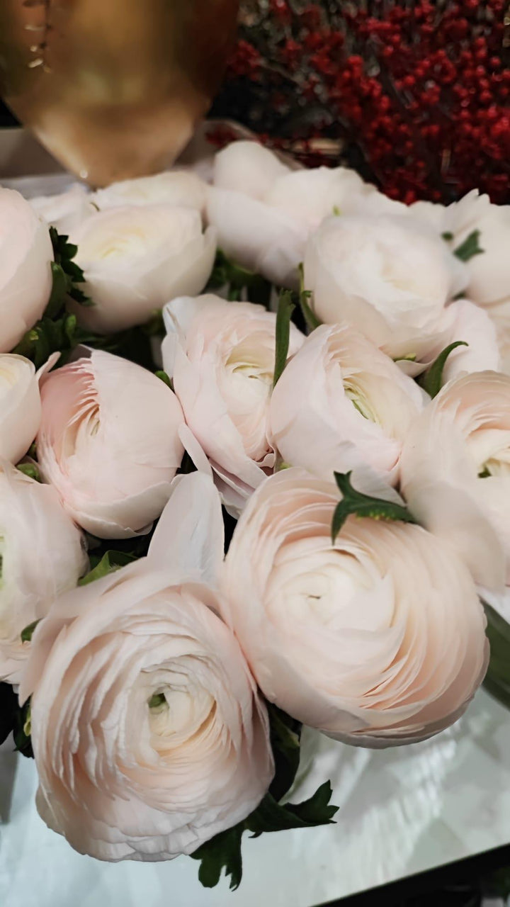 Bouquets de Renoncules - Rouge pivoine Fleuriste Caen