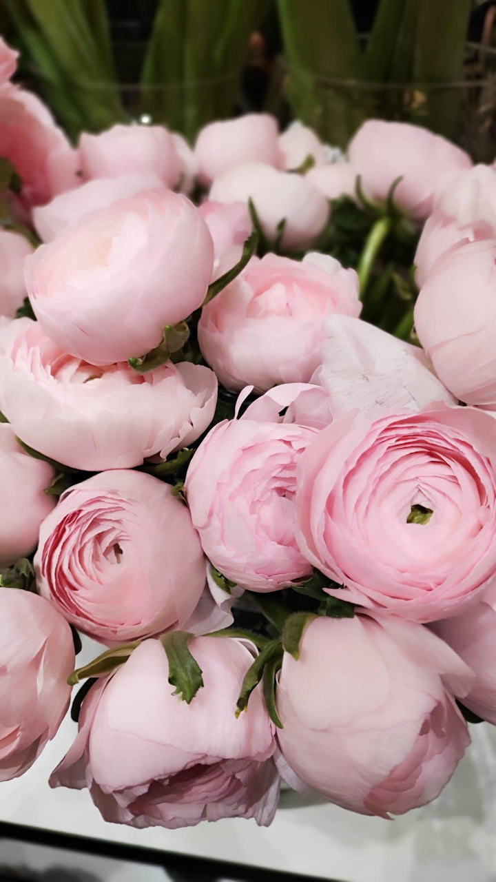 Bouquets de Renoncules - Rouge pivoine Fleuriste Caen