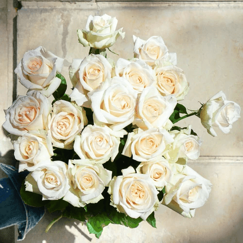 Mes Roses Blanches - Rouge pivoine Fleuriste Caen