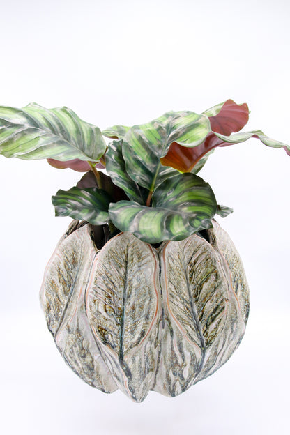 Cache-pot JennyPot