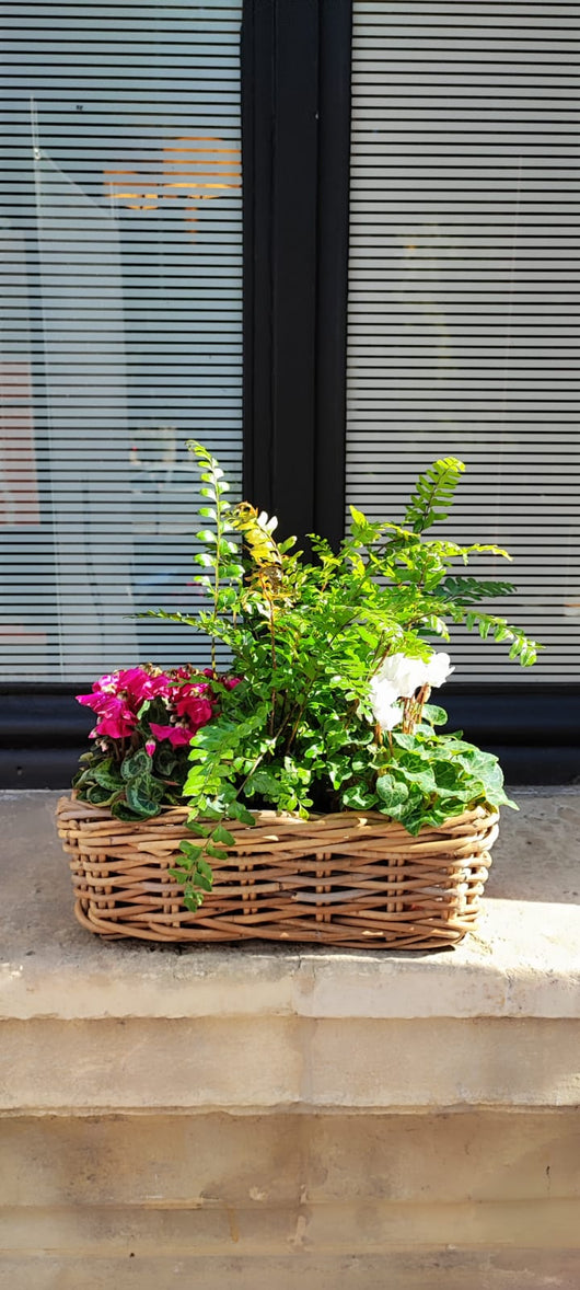 exemple de jardiniere d'automne réalisée lors des ateliers du Samedi chez Rouge Pivoine Fleuriste Caen