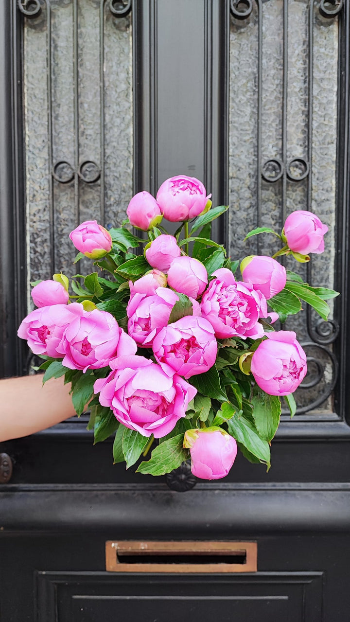 Bouquet de pivoines fait par Rouge Pivoine 