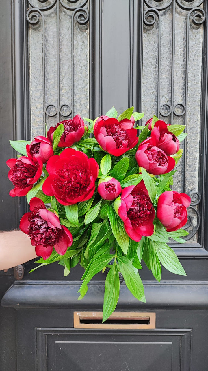 Bouquet de pivoines écarlates de Rouge Pivoine 