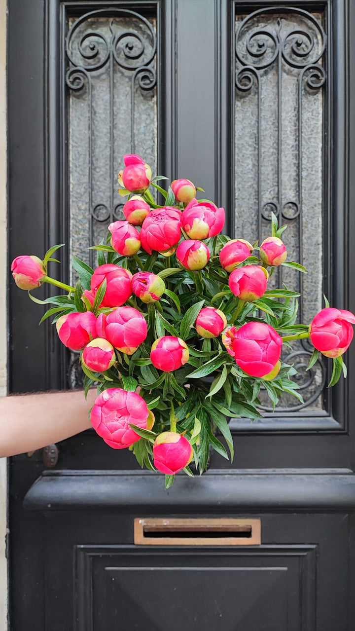 Bouquet de pivoines roses fait par Rouge Pivoine, fleuriste à Céans 
