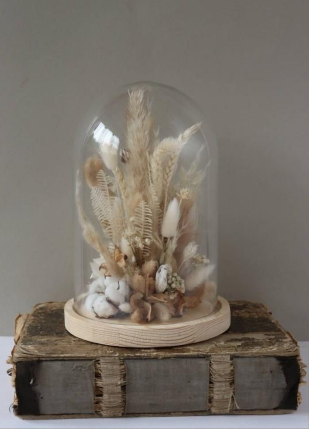 Photo d’inspiration pour l’atelier « Fleurs séchées sous cloche 2026 » de Rouge Pivoine à Caen. Une composition verticale de fleurs séchées beige, crème et blanc est présentée sous une cloche en verre transparente posée sur un socle rond en bois. On distingue graminées, fougères séchées, fleurs de coton et petits éléments naturels. L’ensemble repose sur une caisse en bois rustique devant un fond gris beige uni. Aucun texte ni prix visible.