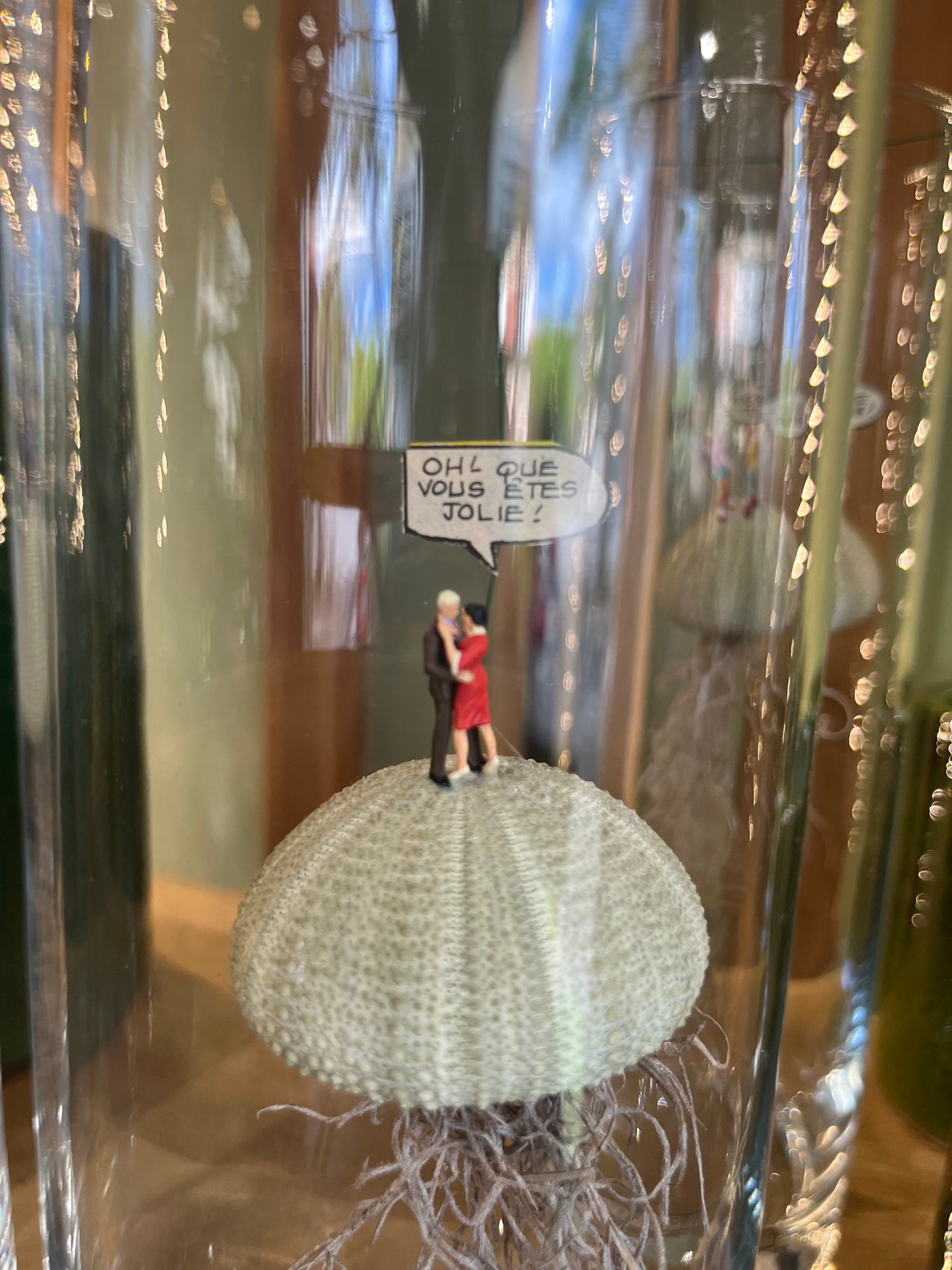 Vue sur les personnages du terrarium sec v4 par Rouge Pivoine Fleuriste Caen
