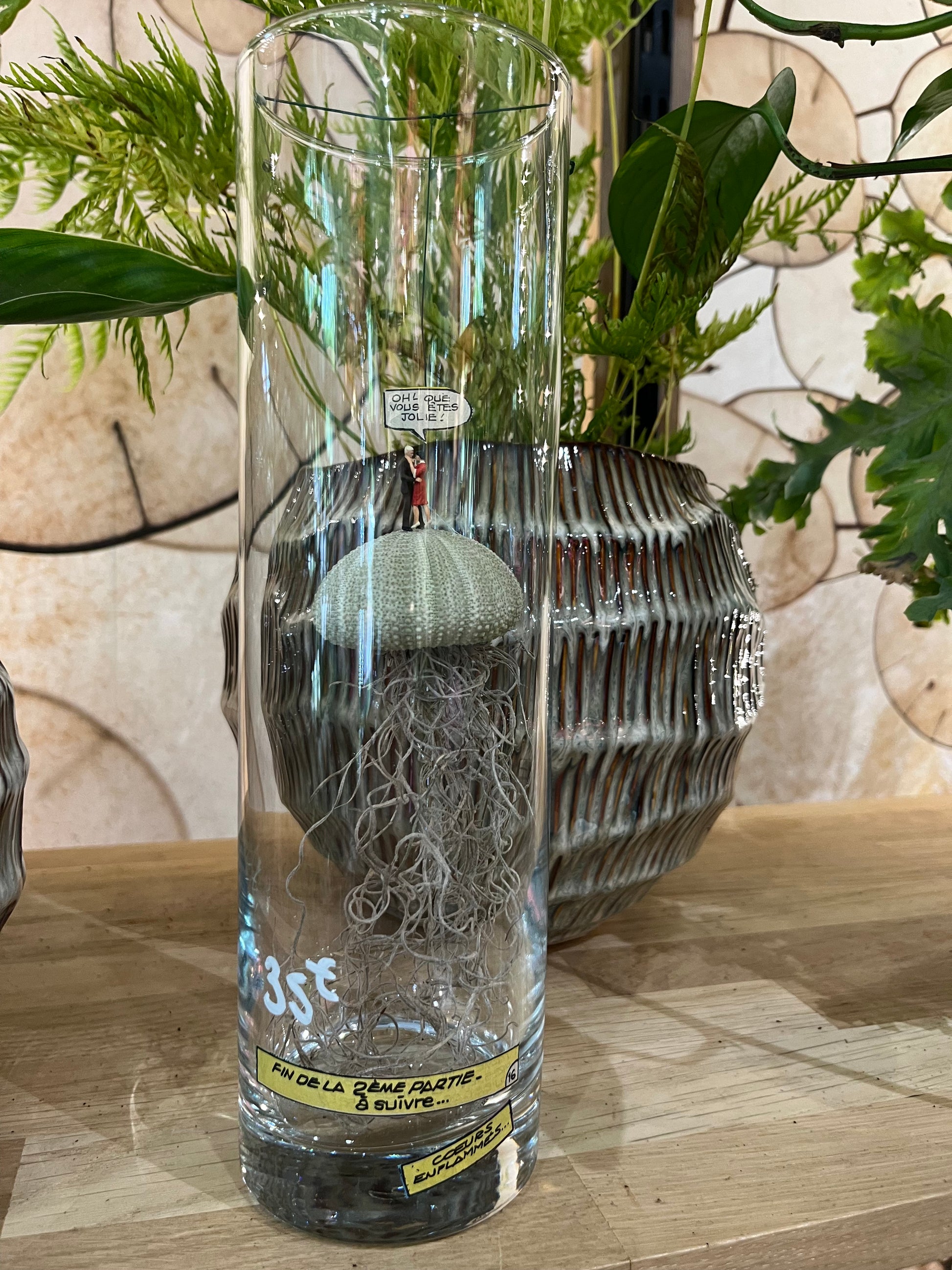 Photo pleine Terrarium sec Medusa v4 Rouge Pivoine Fleuriste Caen