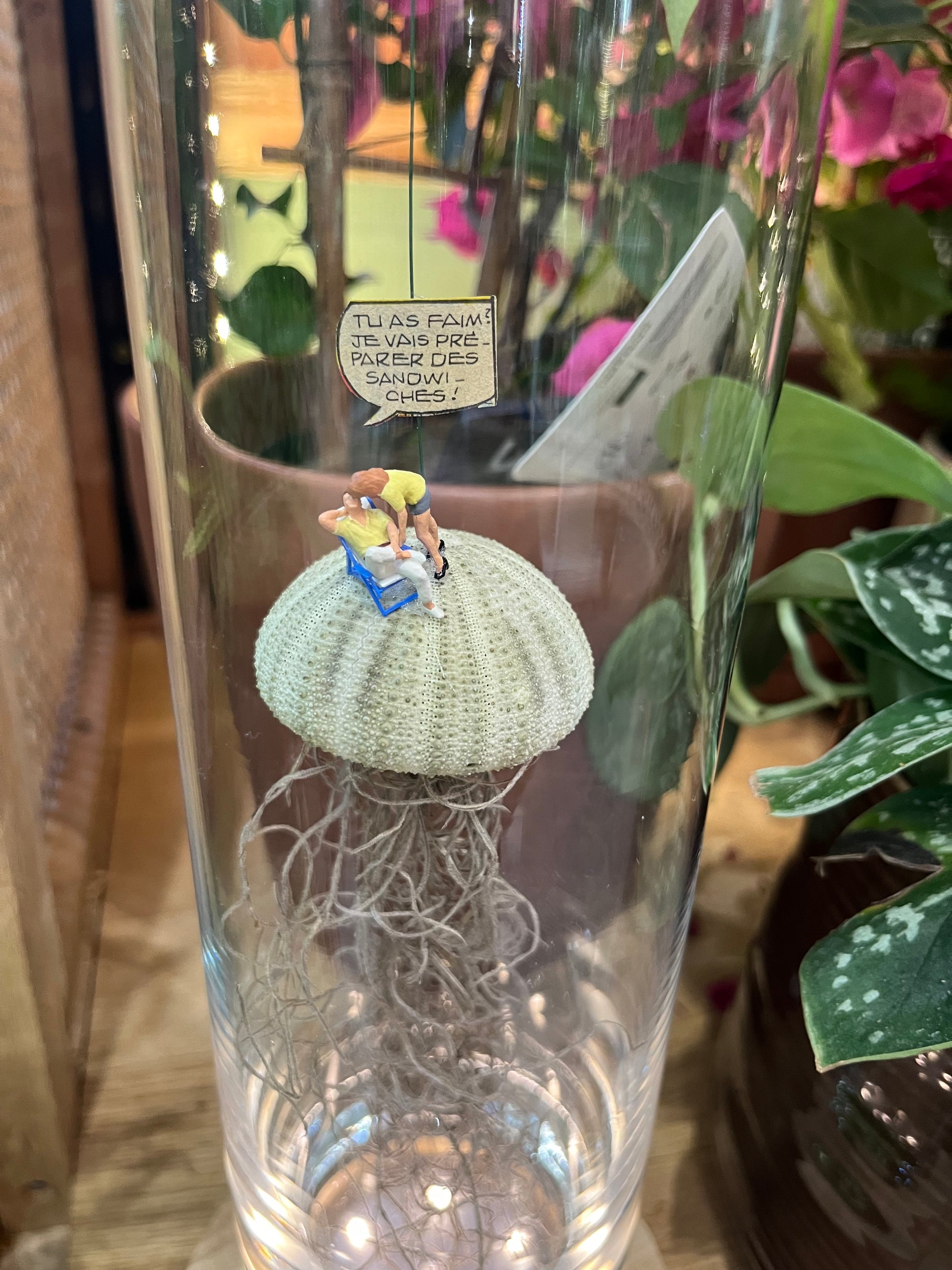 Vue serrée centrée d'une autre version du Terrarium sec Medusa par Rouge Pivoine Fleuriste à Caen