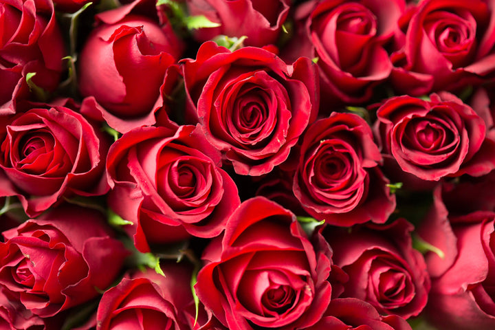 Bouquet "Mes Roses Rouges" en vue rapprochée de Rouge Pivoine Fleuriste Caen