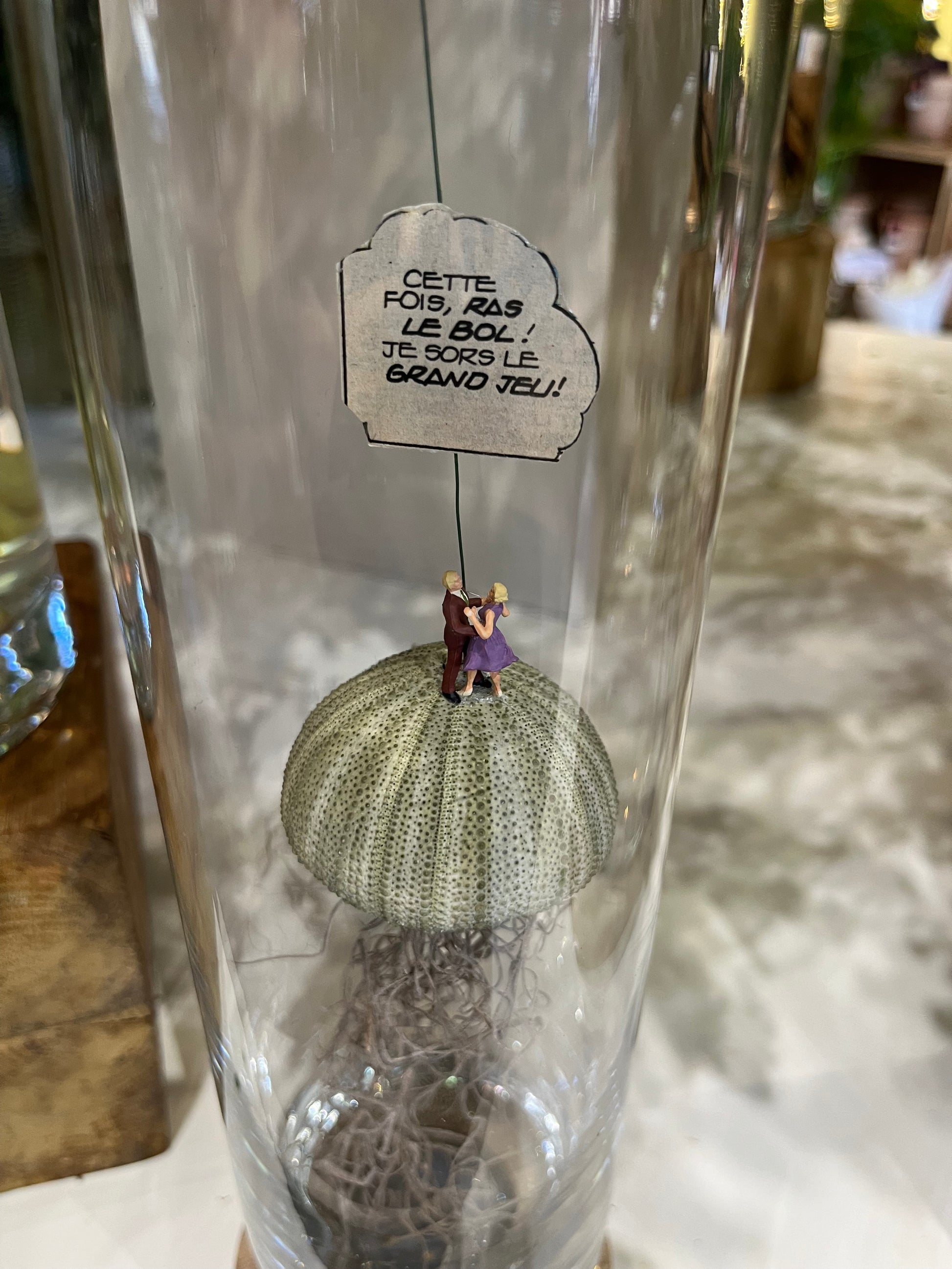 Vue serrée haute d'une autre version du terrarium sec Medusa par Rouge Pivoine Fleuriste Caen