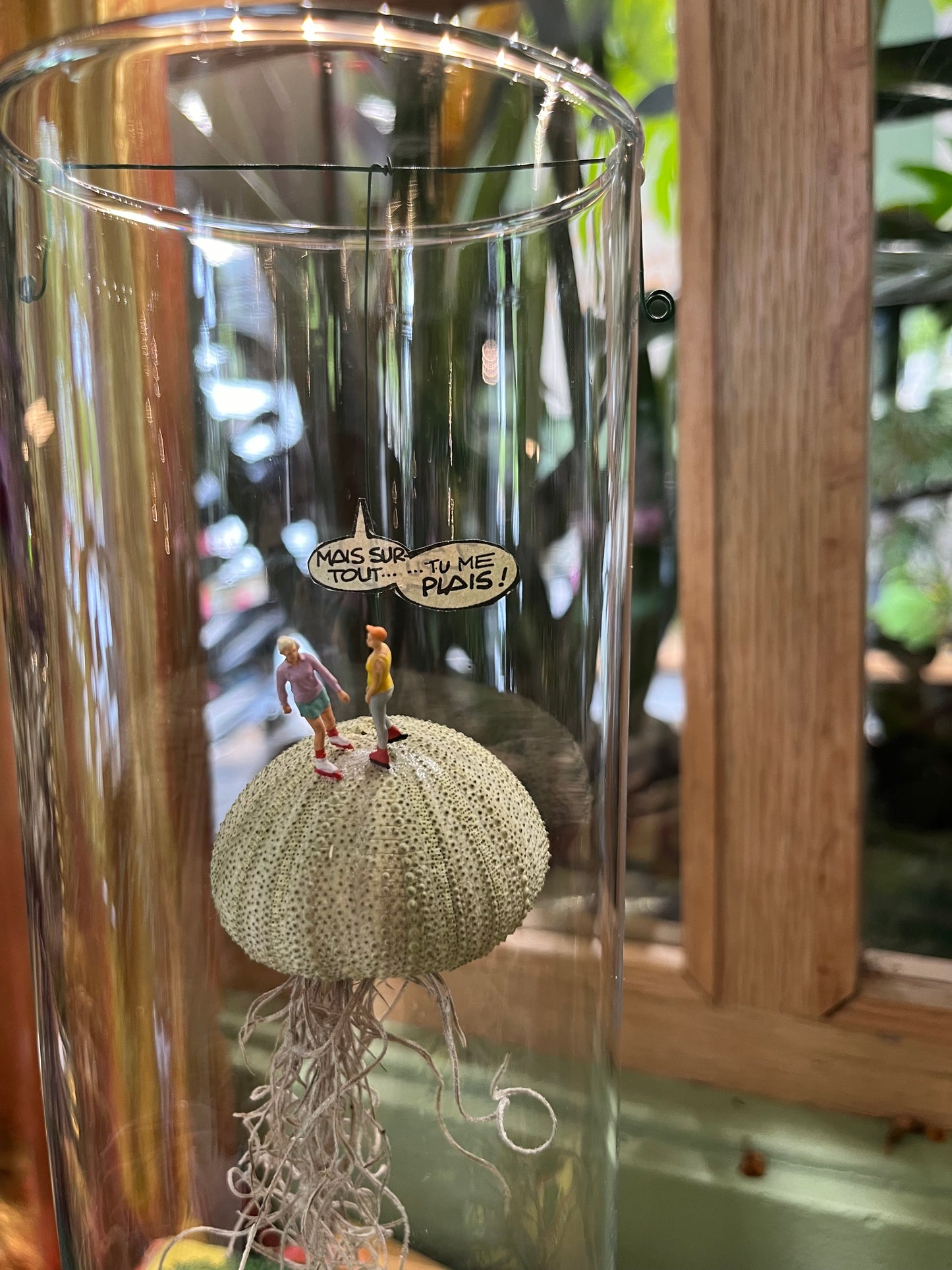 Vue serrée sur les personnages du Terrarium sec réalisée par rouge pivoine fleuriste caen